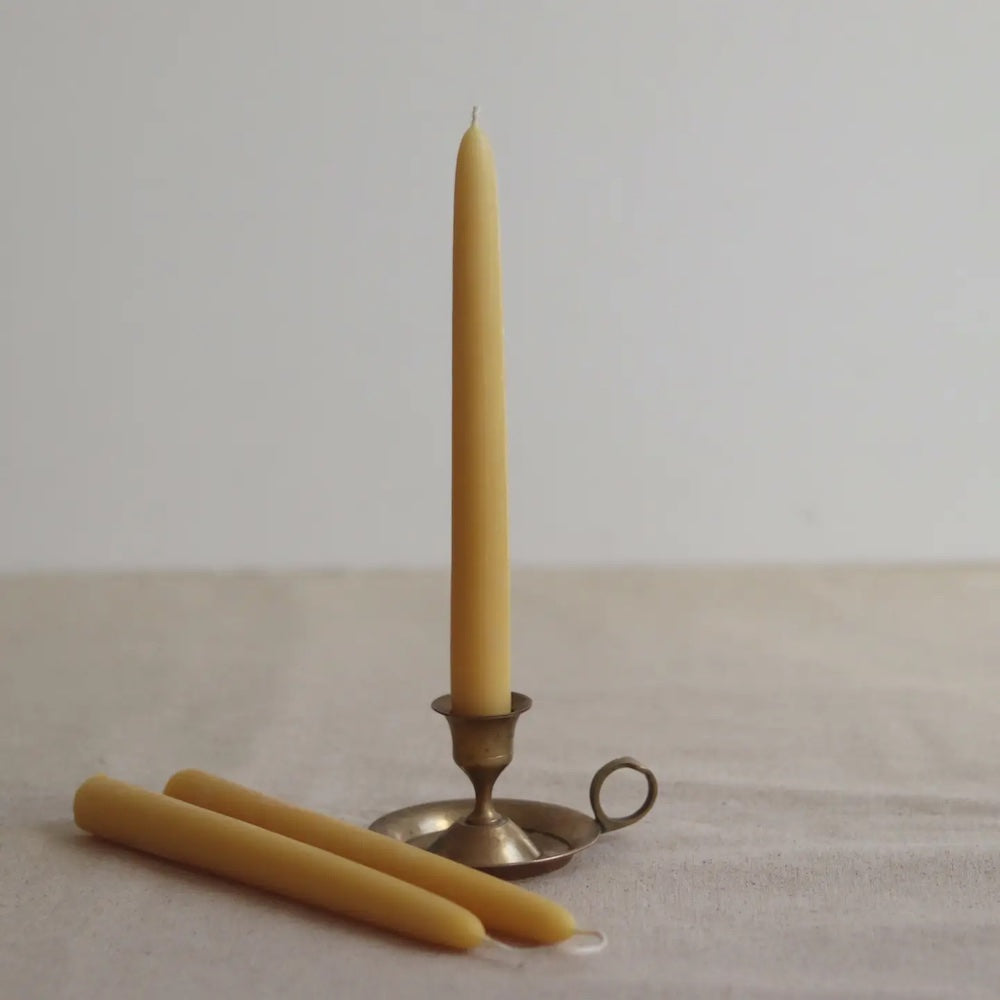 beeswax dinner candles and a small metal candle holder on a neutral background
